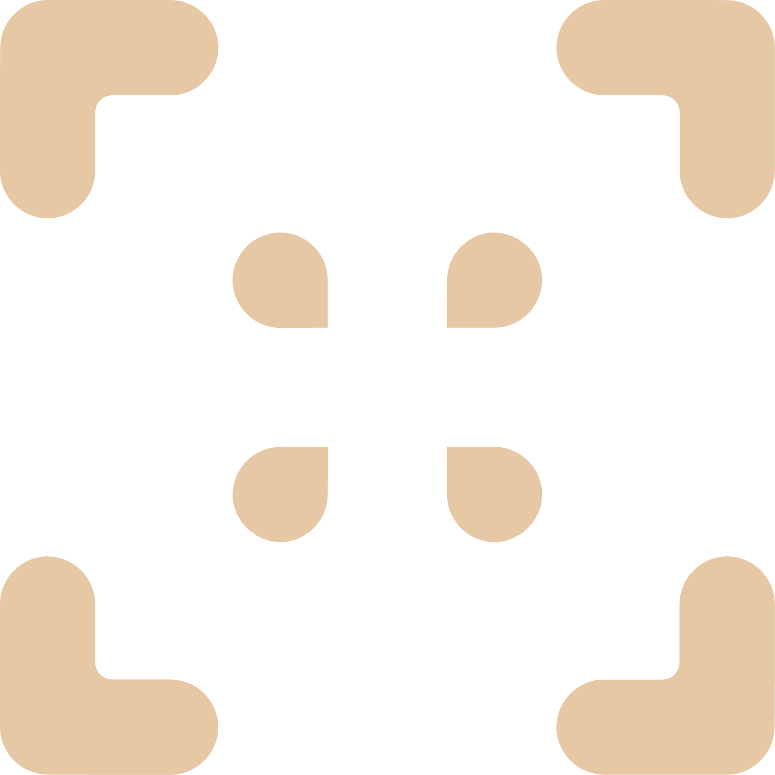 Focus brand icon